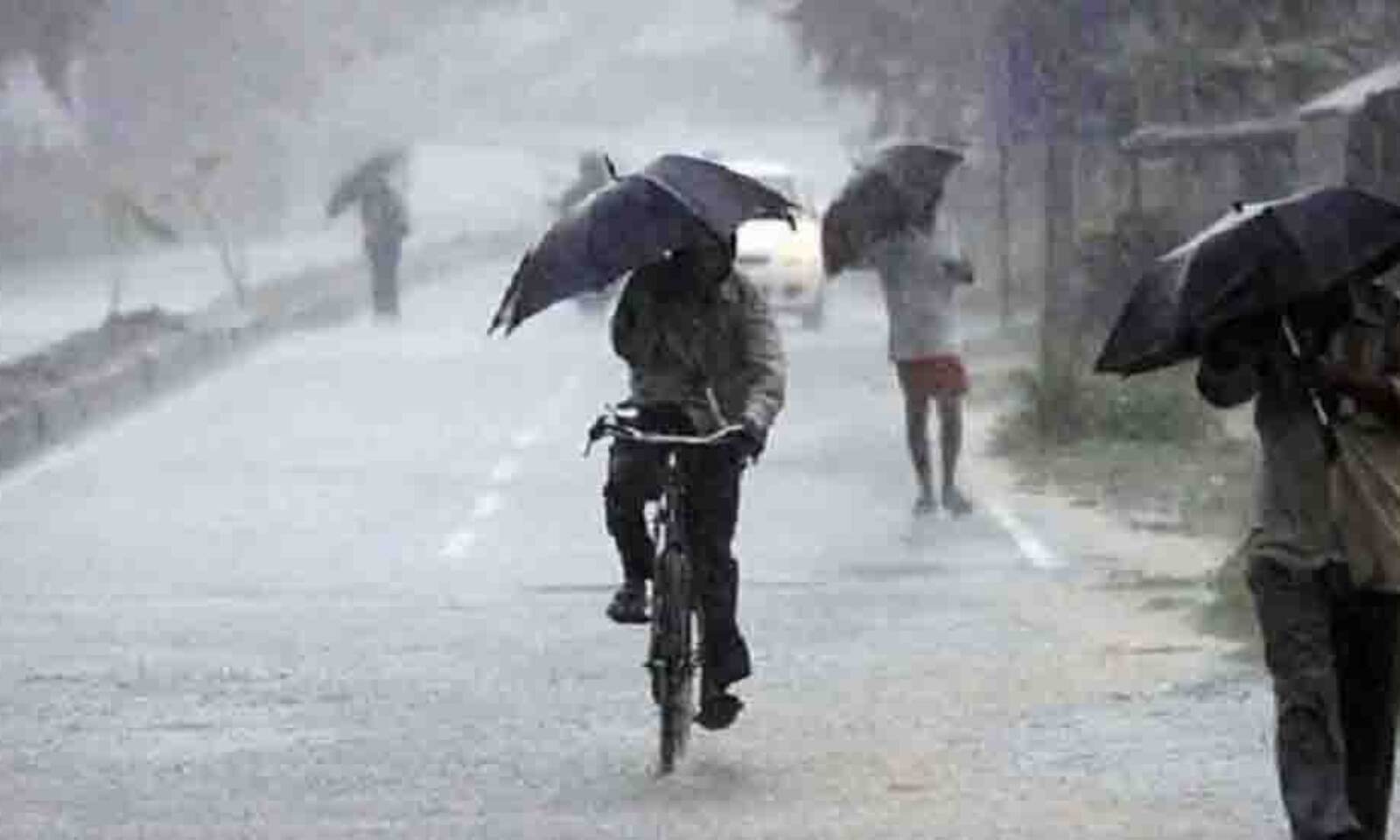 डिंडौरी:14 जुलाई तक जिले में 272.5 मिमी. औसत वर्षा दर्ज